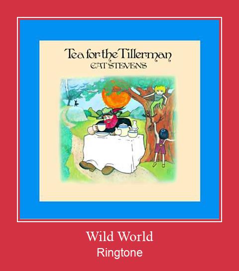 Wild World Ringtone Download Free