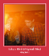Like A Bird (Original Mix) suoneria