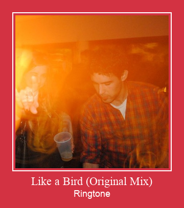 Like A Bird (Original Mix) ರಿಂಗ್ಟೋನ್ ಡೌನ್ಲೋಡ್ ಉಚಿತ