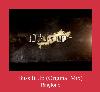 Buss It Up (Original Mix) רינגטון