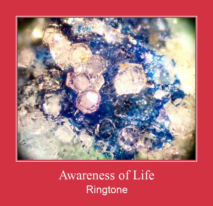 Awareness Of Life ரிங்டோன் பதிவிறக்க இலவச