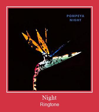 Night Ringtone Download pulsuz