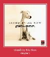Stand By Me Now רינגטון