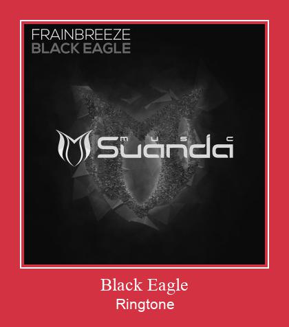 Black Eagle Toque baixar grátis