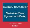 Mysterious Times zil