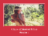 Crazy (Original Mix) zvonenie