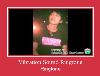 Vibration Sound Ringtone ringtone.