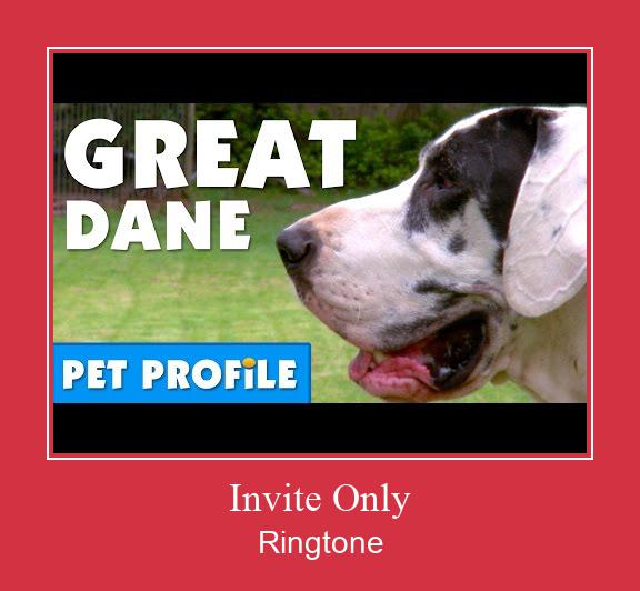 Invite Only Zvonenie Download Free