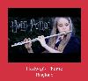 Hedwig's Theme helin