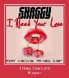 I Need Your Love zil