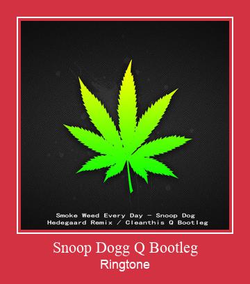 Snoop Dogg Q Bootleg Ringtone download gratis