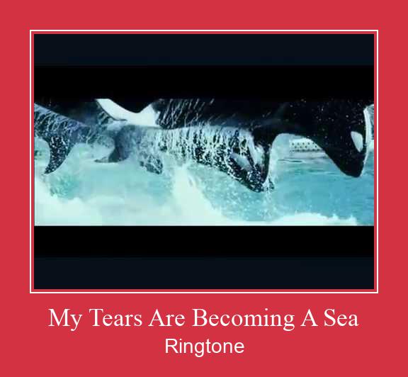 My Tears Are Becoming A Sea Ringtone تنزيل مجاني