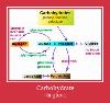 Carbohydrate рингтон