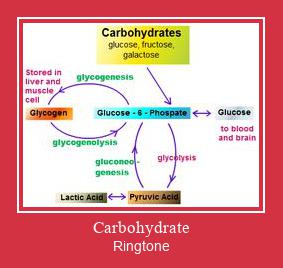 Carbohydrate 着信音を無料でダウンロード