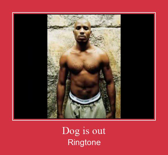 Dog Is Out Ringtone Muat turun percuma.