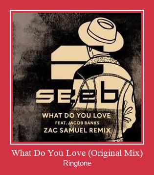 What Do You Love (Original Mix) Zvana signāls lejupielādēt bezmaksas