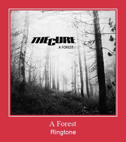 A Forest Zvonenie Download Free