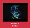 Intonation toque