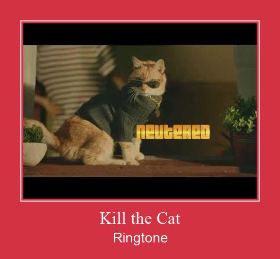 Kill The Cat Vyzvánění ke stažení zdarma