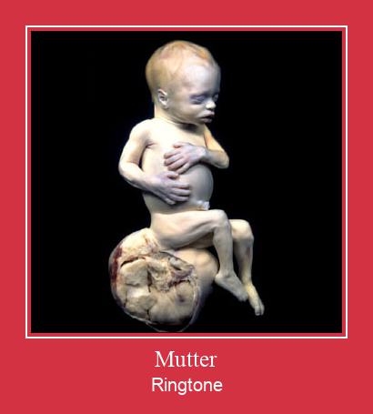 Mutter  Zil sesi indir ücretsiz