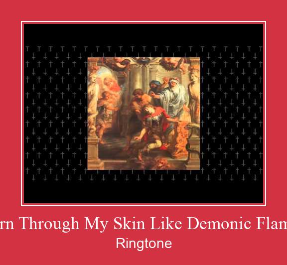 My Flaws Burn Through My Skin Like Demonic Flames From Hell Vyzvánění ke stažení zdarma