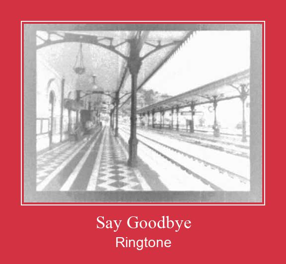Say Goodbye ringtone دانلود رایگان