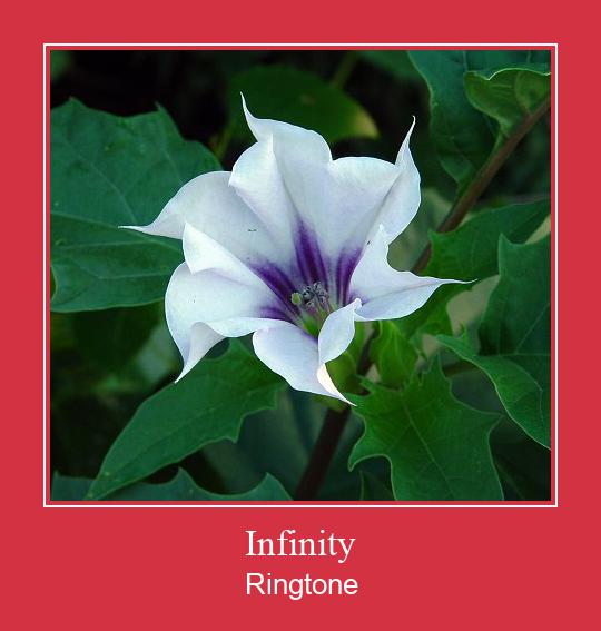 Infinity Ringtone Download pulsuz