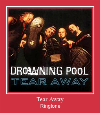 Tear Away мелодија звона